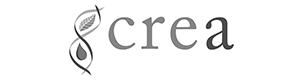 Partner A logo